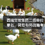 西藏交发集团二级单位更名，背后有何战略考量？（图1）