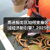 高速服务区如何变身区域经济新引擎？2025创新实践解码（图2）