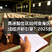 高速服务区如何变身区域经济新引擎？2025创新实践解码（图3）