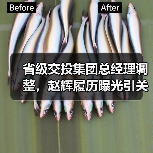 省级交投集团总经理调整,赵辉履历曝光引关注(图1) 省级交投集团总经理调整,赵辉履历曝光引关注(图1)