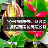 实干创造未来:从收费员到管理者的高速公路运营故事(图4) 实干创造未来:从收费员到管理者的高速公路运营故事(图4)