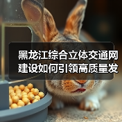 黑龙江综合立体交通网建设如何引领高质量发展?(图1) 黑龙江综合立体交通网建设如何引领高质量发展?(图1)