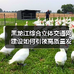 黑龙江综合立体交通网建设如何引领高质量发展?(图2) 黑龙江综合立体交通网建设如何引领高质量发展?(图2)