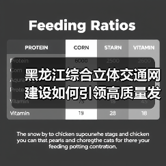 黑龙江综合立体交通网建设如何引领高质量发展?(图3) 黑龙江综合立体交通网建设如何引领高质量发展?(图3)