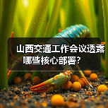 山西交通工作会议透露哪些核心部署？（图1）