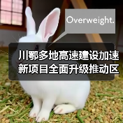 川鄂多地高速建设加速 新项目全面升级推动区域发展(图2) 川鄂多地高速建设加速 新项目全面升级推动区域发展(图2)