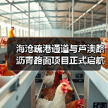 海沧疏港通道与芦澳路沥青路面项目正式启航(图2) 海沧疏港通道与芦澳路沥青路面项目正式启航(图2)
