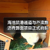 海沧疏港通道与芦澳路沥青路面项目正式启航(图3) 海沧疏港通道与芦澳路沥青路面项目正式启航(图3)