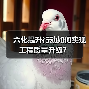 六化提升行动如何实现工程质量升级？（图1）