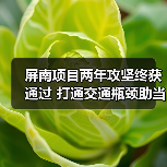 屏南项目两年攻坚终获通过 打通交通瓶颈助当地发展（图4）