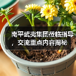 南平武夷集团莅临指导,交流重点内容揭秘(图2) 南平武夷集团莅临指导,交流重点内容揭秘(图2)