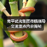 南平武夷集团莅临指导,交流重点内容揭秘(图1) 南平武夷集团莅临指导,交流重点内容揭秘(图1)