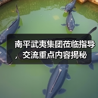 南平武夷集团莅临指导,交流重点内容揭秘(图3) 南平武夷集团莅临指导,交流重点内容揭秘(图3)