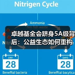 卓越基金会跻身5A级背后:公益生态如何重构商业向善路径?(图2) 卓越基金会跻身5A级背后:公益生态如何重构商业向善路径?(图2)