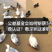 公益基金会如何斩获5A级认证？看深圳这家机构的创新实践（图1）