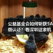 公益基金会如何斩获5A级认证？看深圳这家机构的创新实践（图4）