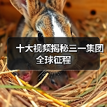 十大视频揭秘三一集团全球征程（图4）