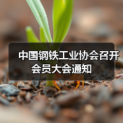 中国钢铁工业协会召开会员大会通知(图2) 中国钢铁工业协会召开会员大会通知(图2)