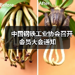 中国钢铁工业协会召开会员大会通知(图4) 中国钢铁工业协会召开会员大会通知(图4)