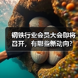 钢铁行业会员大会即将召开,有哪些新动向?(图2) 钢铁行业会员大会即将召开,有哪些新动向?(图2)