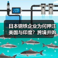 日本钢铁企业为何押注美国与印度?跨境并购背后的战略逻辑(图2) 日本钢铁企业为何押注美国与印度?跨境并购背后的战略逻辑(图2)