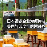 日本钢铁企业为何押注美国与印度?跨境并购背后的战略逻辑(图1) 日本钢铁企业为何押注美国与印度?跨境并购背后的战略逻辑(图1)