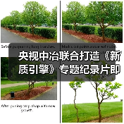 央视中冶联合打造《新质引擎》专题纪录片即将开播(图2) 央视中冶联合打造《新质引擎》专题纪录片即将开播(图2)