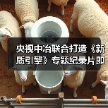 央视中冶联合打造《新质引擎》专题纪录片即将开播(图3) 央视中冶联合打造《新质引擎》专题纪录片即将开播(图3)