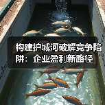 构建护城河破解竞争陷阱:企业盈利新路径(图3) 构建护城河破解竞争陷阱:企业盈利新路径(图3)