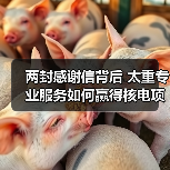 两封感谢信背后 太重专业服务如何赢得核电项目信赖（图1）