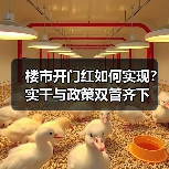 楼市开门红如何实现？实干与政策双管齐下（图1）