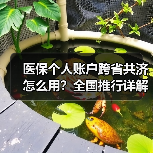 医保个人账户跨省共济怎么用？全国推行详解（图1）
