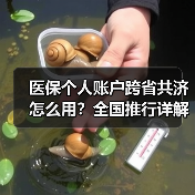 医保个人账户跨省共济怎么用？全国推行详解（图4）