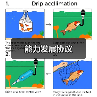 能力发展协议(图2) 能力发展协议(图2)