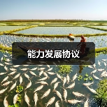 能力发展协议