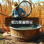 能力发展协议(图3) 能力发展协议(图3)