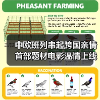 中欧班列串起跨国亲情 首部题材电影温情上线（图4）