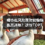 哪些低风险理财能稳稳跑赢通胀?这份TOP7榜单给你答案(图3) 哪些低风险理财能稳稳跑赢通胀?这份TOP7榜单给你答案(图3)