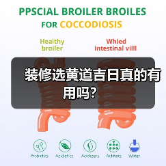 装修选黄道吉日真的有用吗？