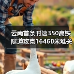 云南首条时速350高铁隧道攻克16460米难关（图1）