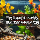 云南首条时速350高铁隧道攻克16460米难关（图4）