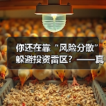 你还在靠“风险分散”躲避投资雷区?——真正的风控高手其实从不依赖分散投资(图2) 你还在靠“风险分散”躲避投资雷区?——真正的风控高手其实从不依赖分散投资(图2)