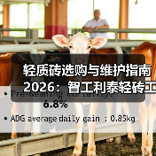 轻质砖选购与维护指南2026:智工利泰轻砖工程案例解析(图2) 轻质砖选购与维护指南2026:智工利泰轻砖工程案例解析(图2)