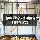 核电领域双感谢信背后的硬核实力（图1）