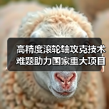 高精度滚轮轴攻克技术难题助力国家重大项目(图3) 高精度滚轮轴攻克技术难题助力国家重大项目(图3)