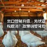 出口管制升级，光伏退税取消？政策调整背后的深意（图2）