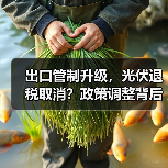 出口管制升级，光伏退税取消？政策调整背后的深意（图3）