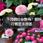 下周钢价会跌吗?解析行情震荡原因(图2) 下周钢价会跌吗?解析行情震荡原因(图2)