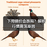 下周钢价会跌吗?解析行情震荡原因(图3) 下周钢价会跌吗?解析行情震荡原因(图3)
