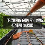 下周钢价会跌吗?解析行情震荡原因(图4) 下周钢价会跌吗?解析行情震荡原因(图4)